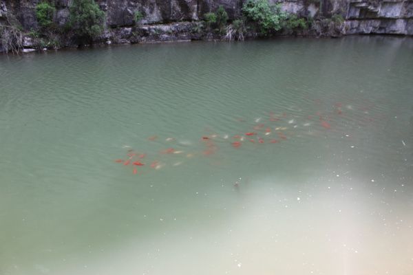 201564920350.jpg