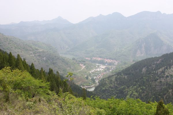 201564921180.jpg